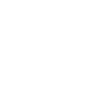 ICON-20