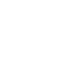 ICON-22